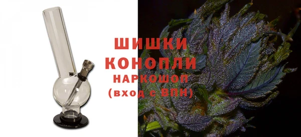 сатива Бородино
