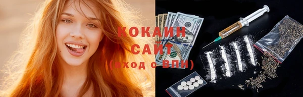 сатива Бородино