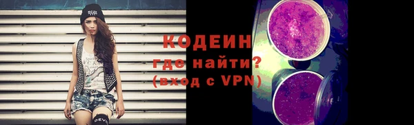 сатива Бородино