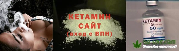 сатива Бородино