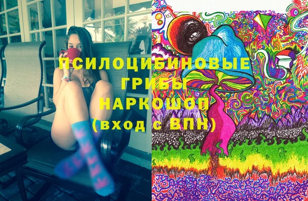 сатива Бородино