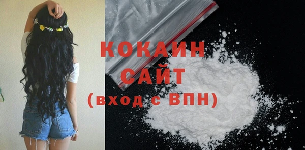 сатива Бородино