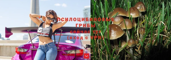шишки Орехово-Зуево