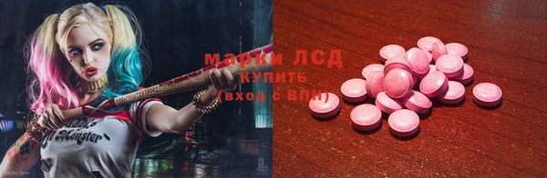 сатива Бородино