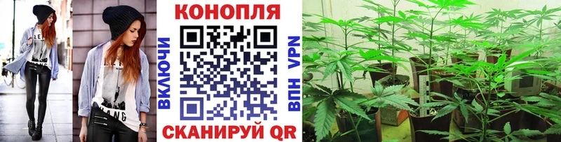 ссылка на мегу сайт  цены   Буинск  Каннабис White Widow 